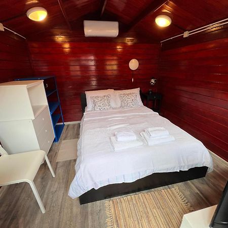 Villa Dalibor wellness, 2 jacuzzies, sauna, parking, grill, observatory, Mediterranean garden Nin Buitenkant foto