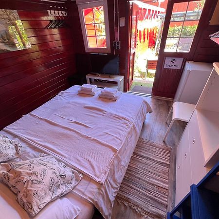 Villa Dalibor wellness, 2 jacuzzies, sauna, parking, grill, observatory, Mediterranean garden Nin Buitenkant foto