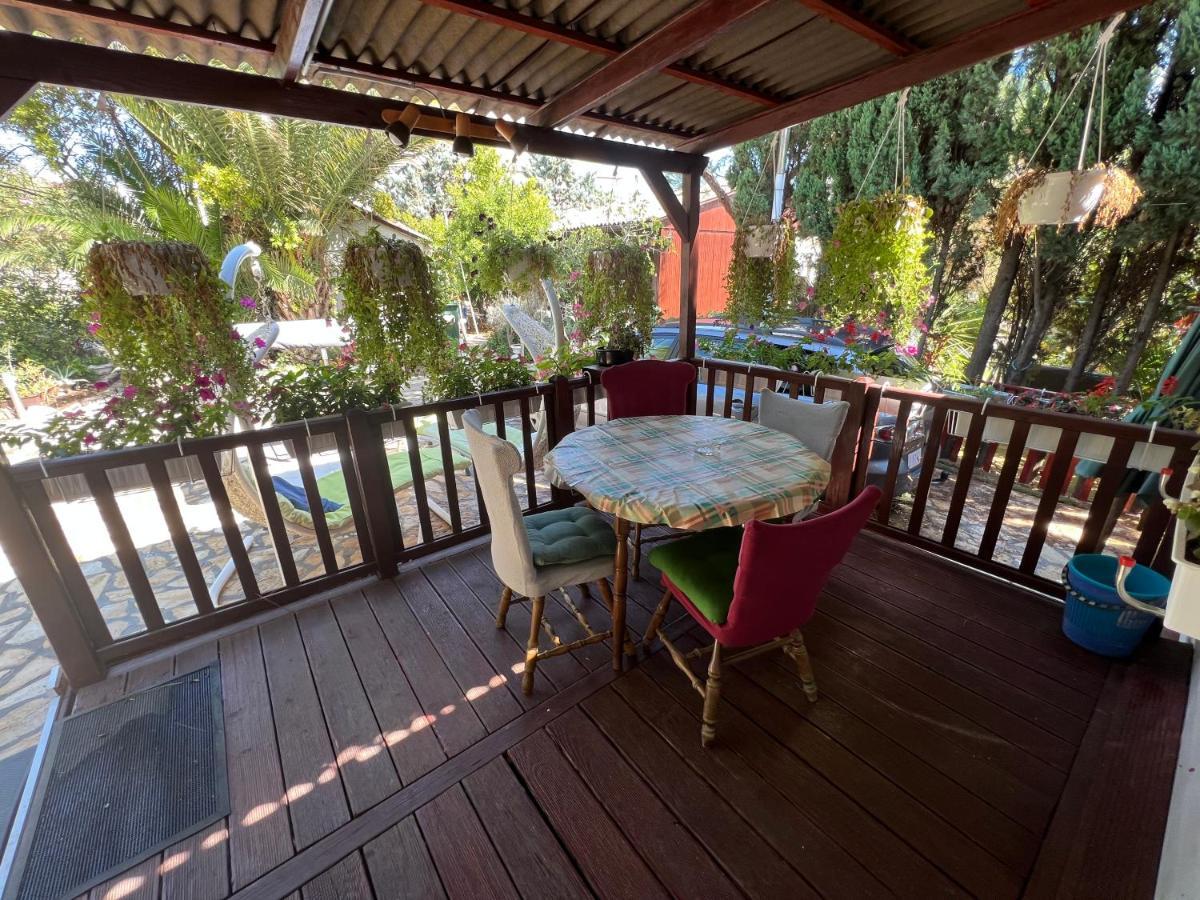 Villa Dalibor wellness, 2 jacuzzies, sauna, parking, grill, observatory, Mediterranean garden Nin Buitenkant foto