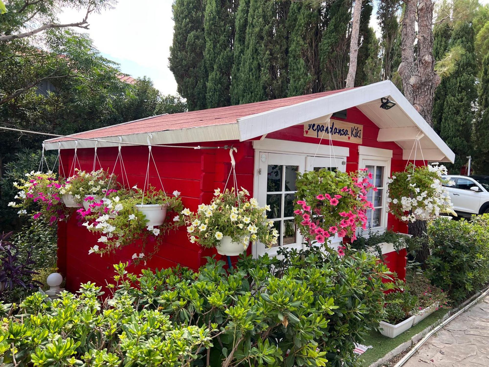 Villa Dalibor wellness, 2 jacuzzies, sauna, parking, grill, observatory, Mediterranean garden Nin Buitenkant foto